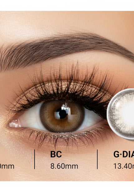 CS4-69 BROWN