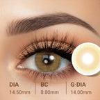 Dewy Bronze Brown Contact Lenses