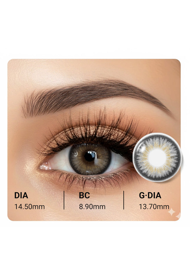 DSN356 GRAY