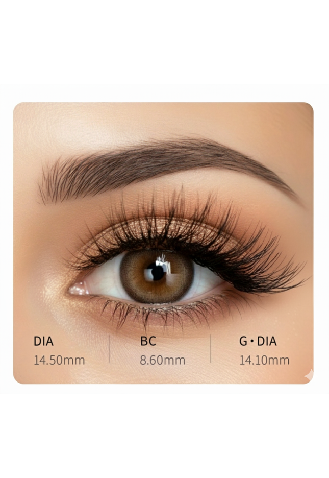 DBC449 BROWN